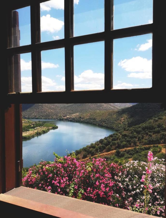 Villa Auri Vila Nova de Fozcoa Dış mekan fotoğraf