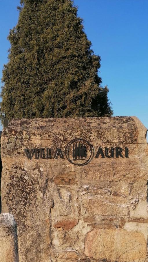 Villa Auri Vila Nova de Fozcoa Dış mekan fotoğraf