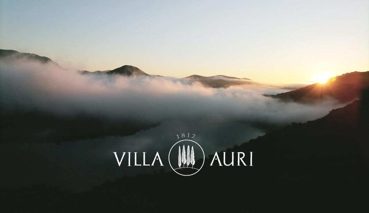 Villa Auri Vila Nova de Fozcoa Dış mekan fotoğraf